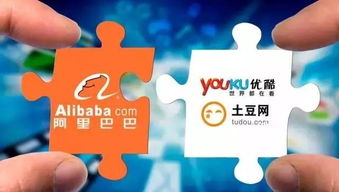 阿里大文娛集團(tuán)楊偉東 優(yōu)酷會員突破3000萬，推動數(shù)字文化創(chuàng)意內(nèi)容服務(wù)發(fā)展